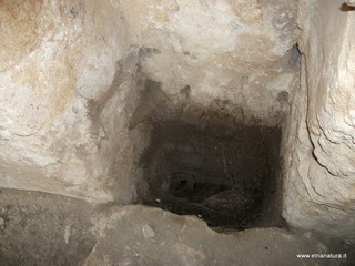 Metapiccola